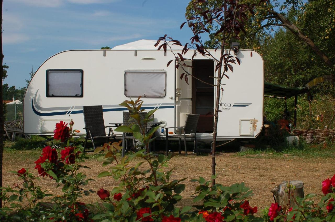 Camping Rogowo Mrzeżyno Exteriör bild