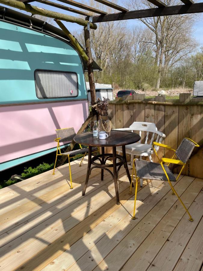 Camping Rogowo Mrzeżyno Exteriör bild