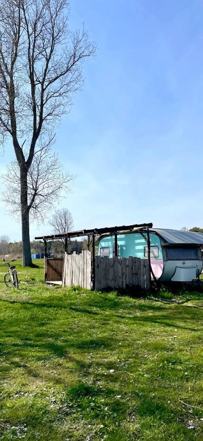 Camping Rogowo Mrzeżyno Exteriör bild
