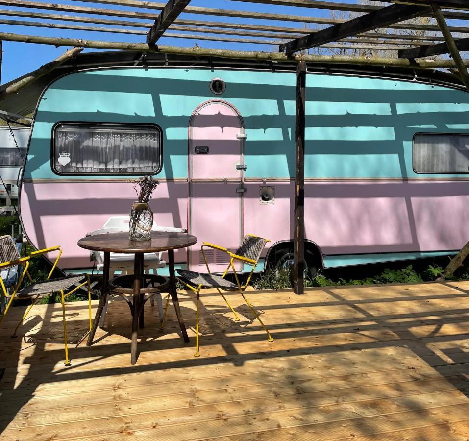 Camping Rogowo Mrzeżyno Exteriör bild