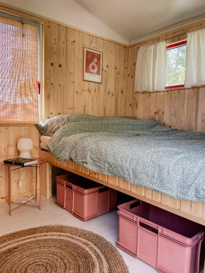 Camping Rogowo Mrzeżyno Exteriör bild