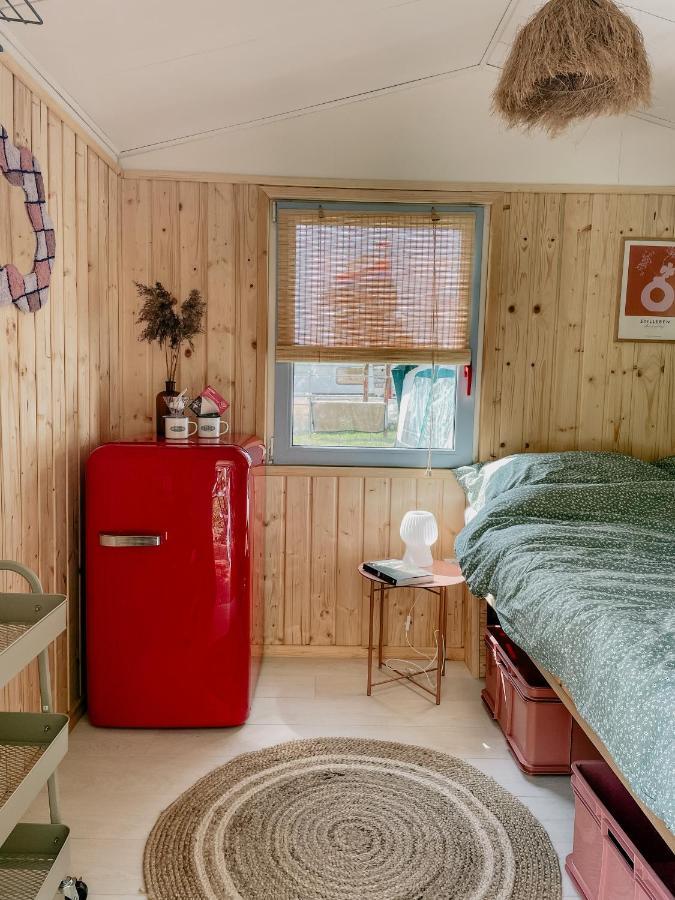 Camping Rogowo Mrzeżyno Exteriör bild