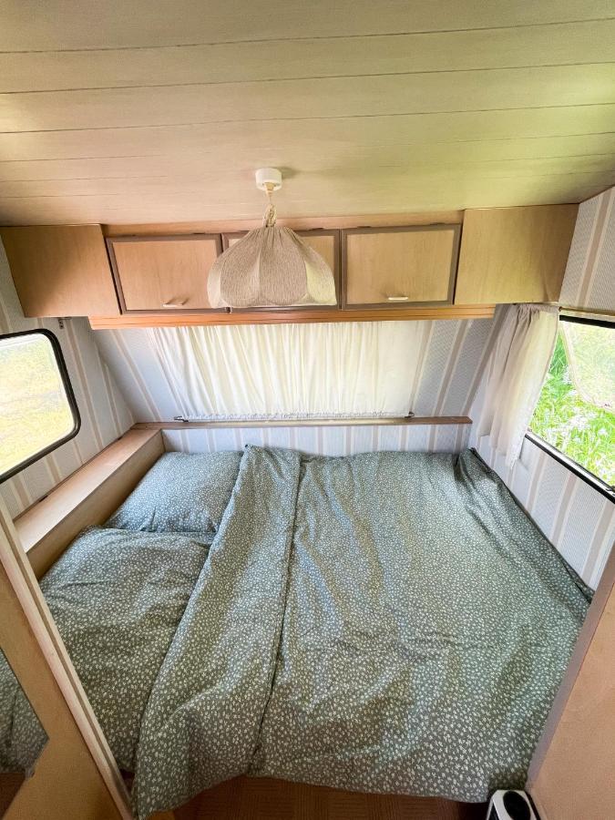 Camping Rogowo Mrzeżyno Exteriör bild