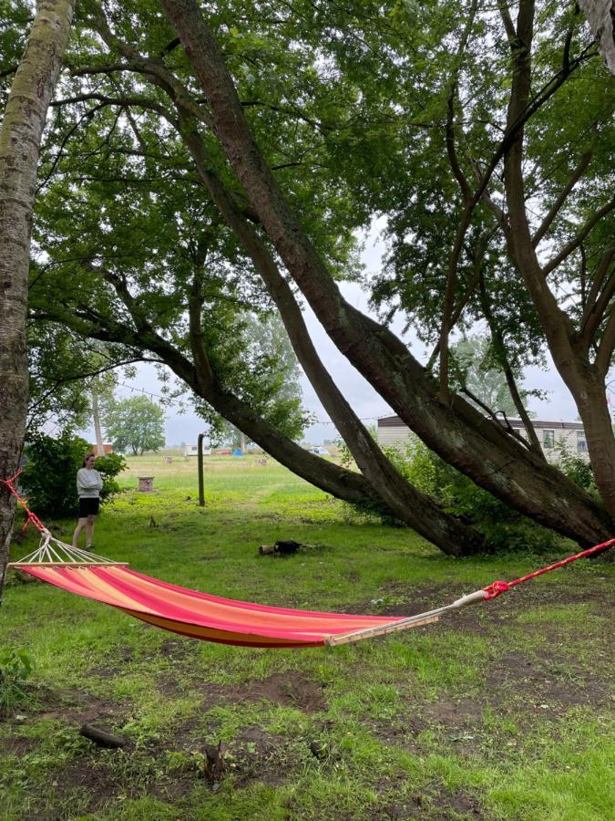 Camping Rogowo Mrzeżyno Exteriör bild