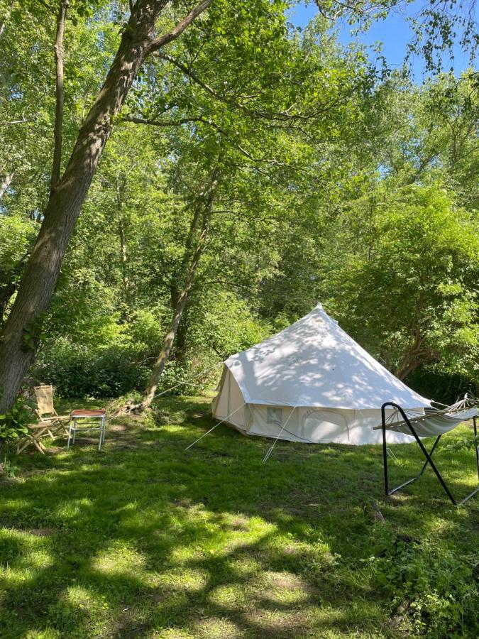 Camping Rogowo Mrzeżyno Exteriör bild
