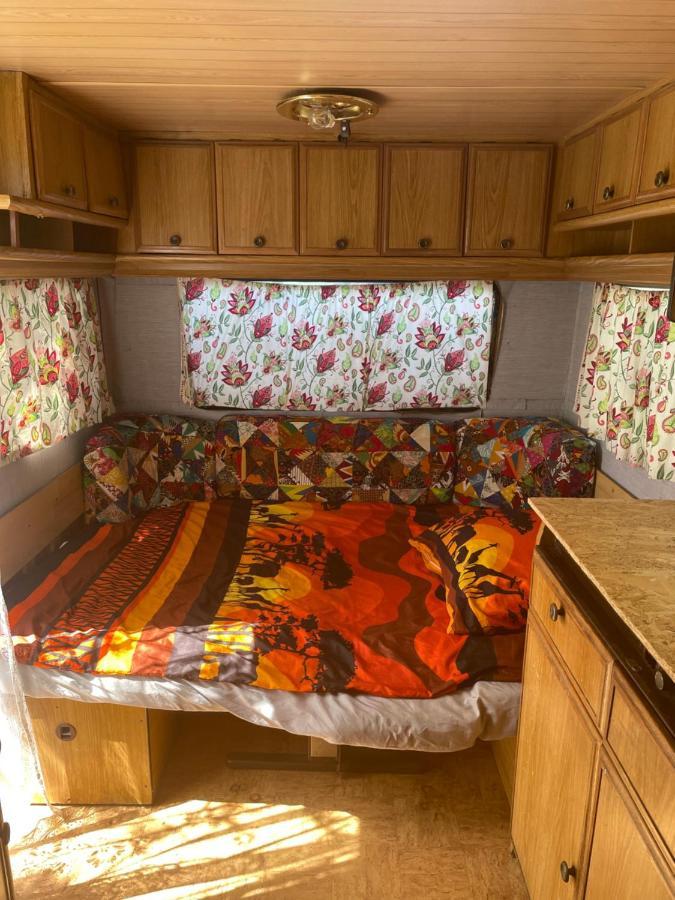Camping Rogowo Mrzeżyno Exteriör bild
