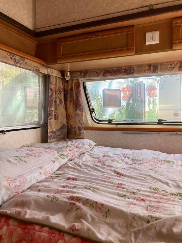 Camping Rogowo Mrzeżyno Rum bild